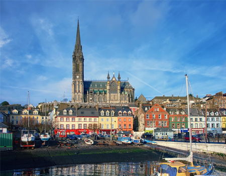 爱尔兰雇主担保项目