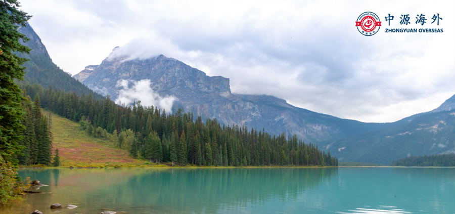 1578540500820935.jpg e46022f7a425f10d8eeb18602e9965cc_1576660783392272_看图王.jpg