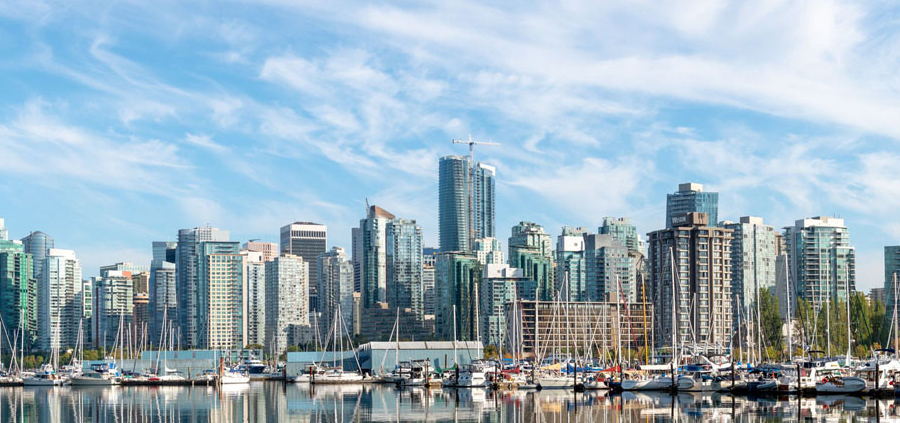 1578562830784365.jpg e46022f7a425f10d8eeb18602e9965cc_1576660783392272_看图王(1).jpg