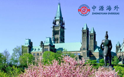 1585624063906701.jpg _1.jpg