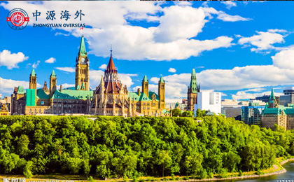 1586920184390595.jpg 2.2.jpg