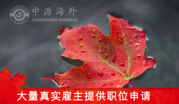 1592183907933503.jpg 雇主 (2).jpg