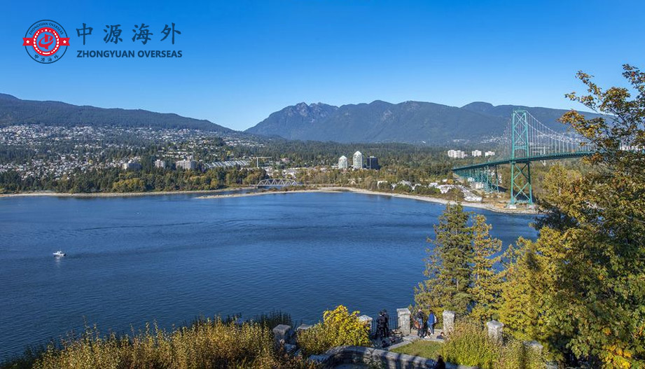 1594086256372709.jpg 新3.jpg