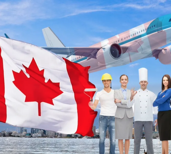 1726104287935029.png 3.png