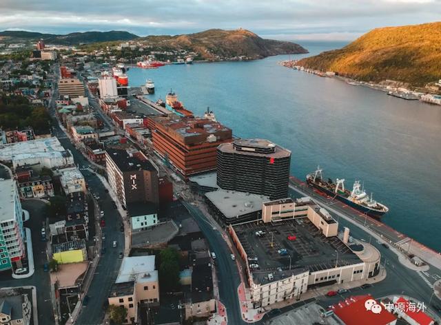 1741567333653621.png 1.png