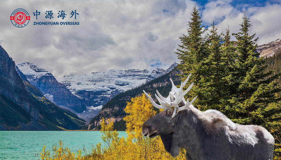 1609119022163609.jpg 新4.jpg