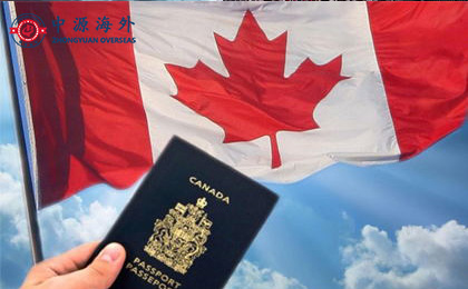 1623381450917034.jpg 3.3.jpg