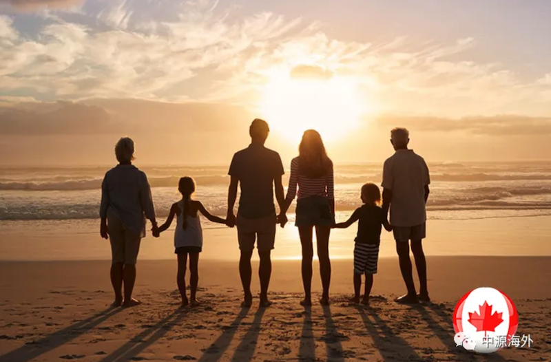 1739843915613321.png 1.png